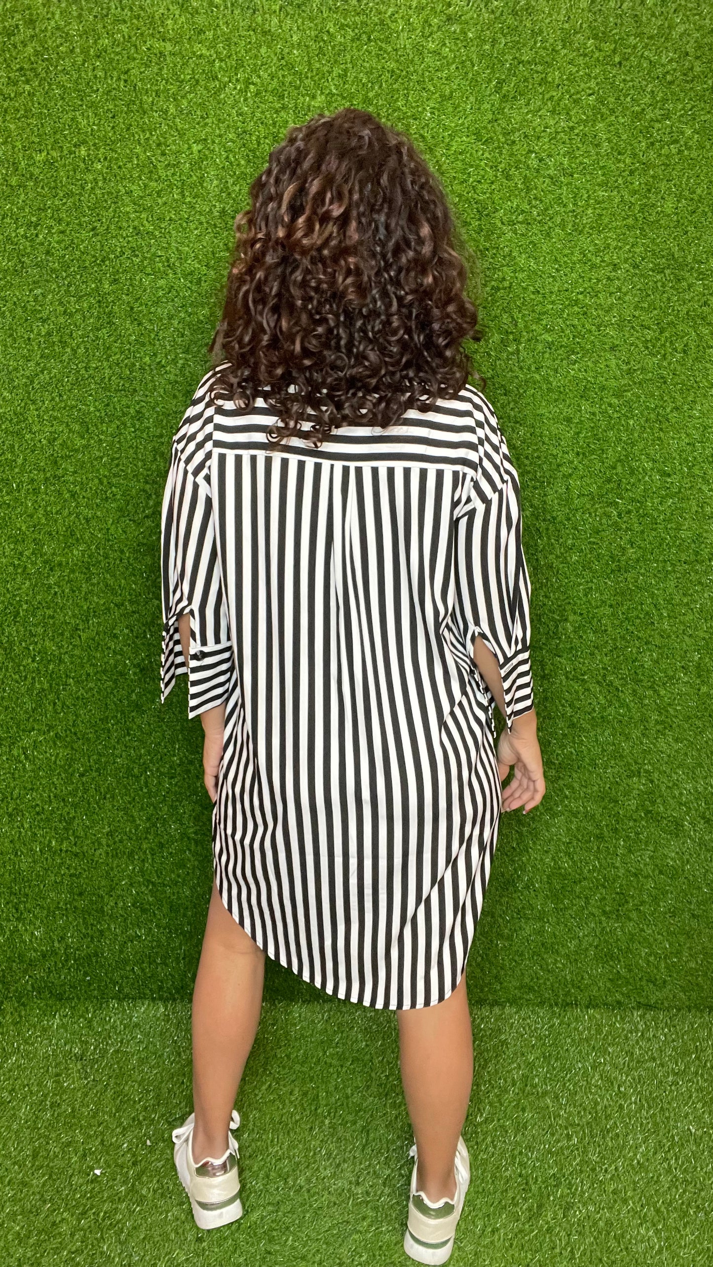 Stripe Print Dress